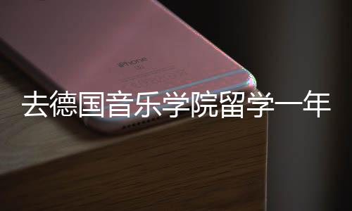 去德国音乐学院留学一年多少钱?